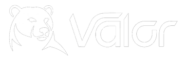 Valor Vision